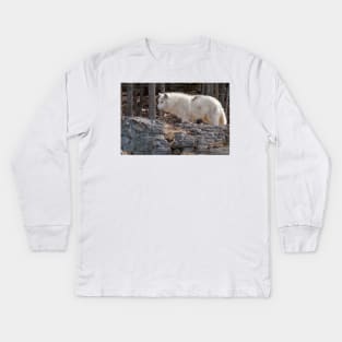 Arctic Wolf Kids Long Sleeve T-Shirt